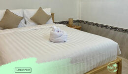 artikel rayes guest house (1)