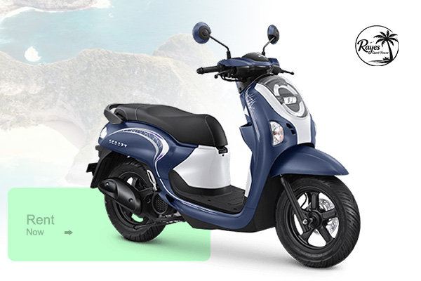 scoopy